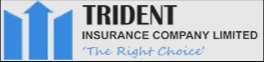 Trident Insurance logo